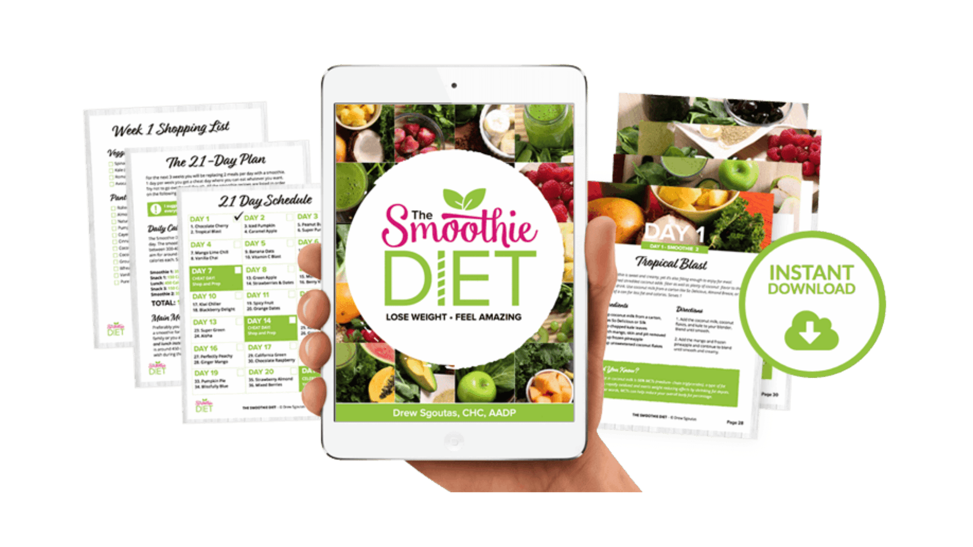 The Smoothie Diet Program